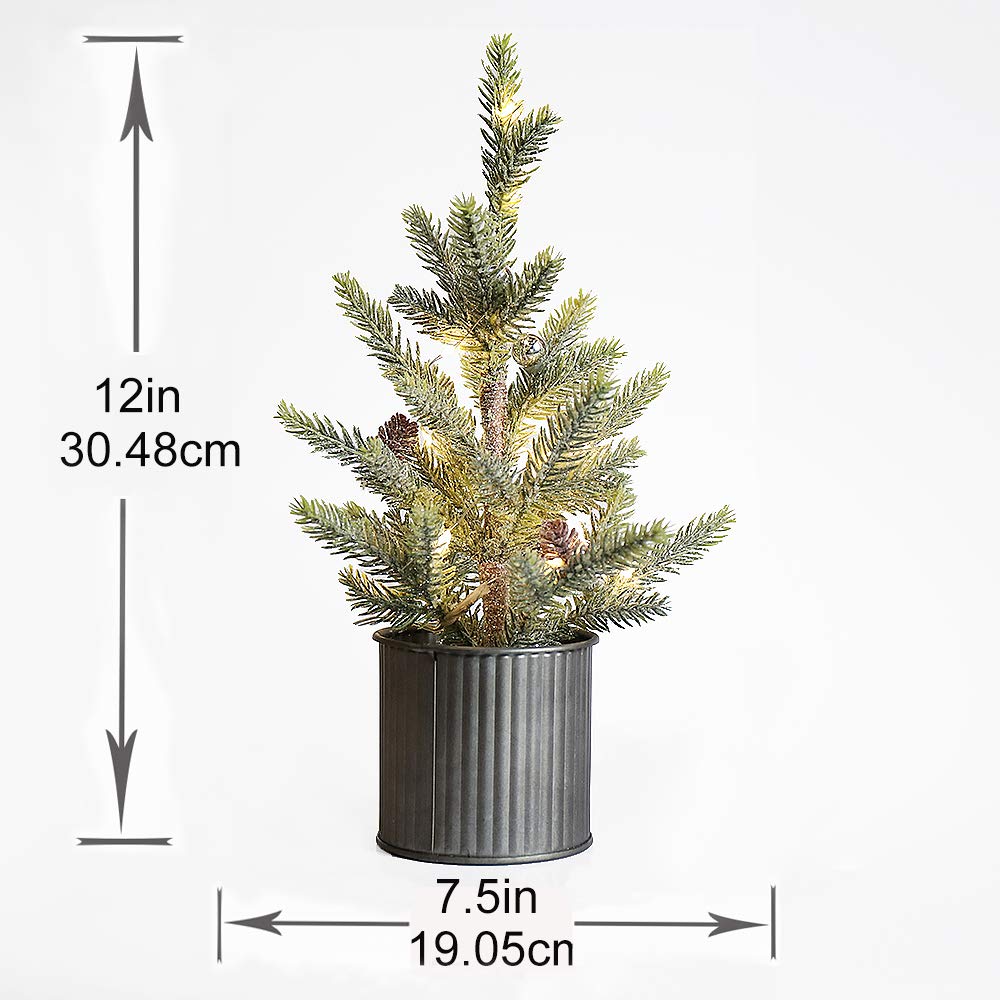 Emadgift Lighted Mini Tree 12 Inch with 15 Warm Whited LED Lights USB Powered for Winter Decor Hone Party and Wedding Holiday