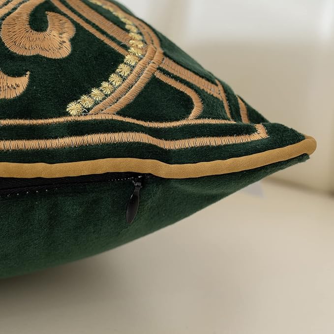 Aeckself European Luxury Velvet Throw Pillow Cover 20 x 20 Inch, Embroidery Floral Pillow Cover Home Decor Pillowcase for Couch Bedroom Living Room, Dark Emerald Green and Gold