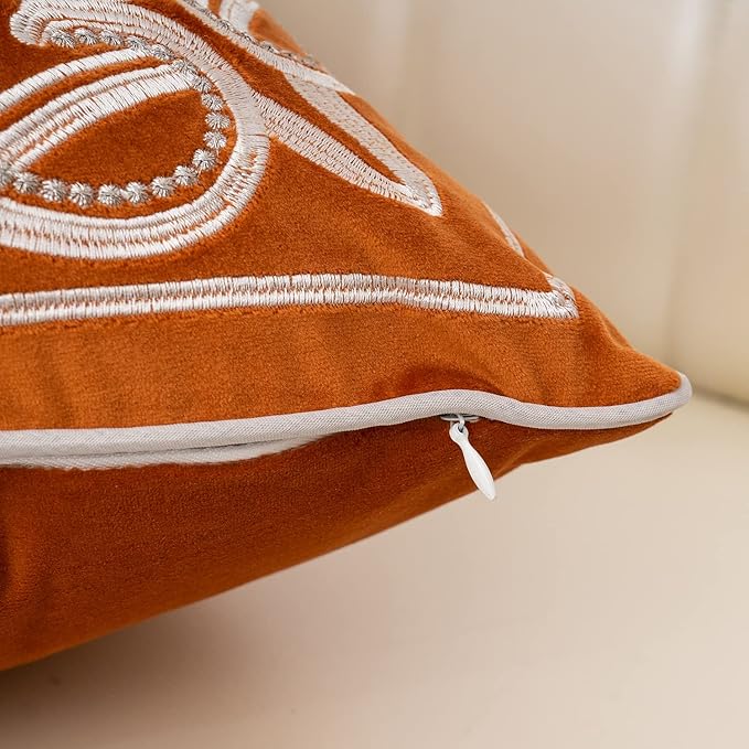 Aeckself European Floral Pillow Cover 20x20 Inch, Luxury Velvet Embroidered Decorative Throw Pillow Cover for Couch Bedroom Living Room, Burnt Orange and White