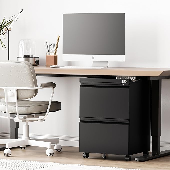 2 Drawer File Cabinet,Mobile Filing Cabinet with Lock and Wheels,Fully Assembled Metal Under Desk File Cabinets for A4/Letter/Legal Size(Black