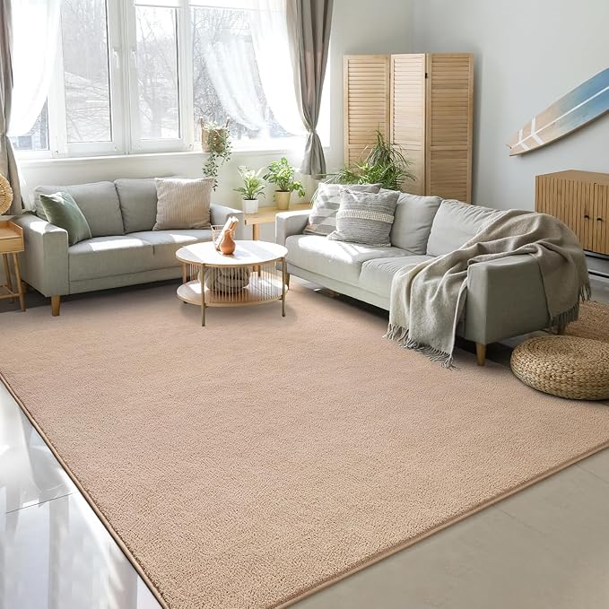 Soft Rugs for Living Room 4x6 Beige, Minimalist Area Rug for Bedroom Nursery Dining Table Dorm, Throw Rugs for Men Boys Girls Kids Room Indoor Floor Carpets