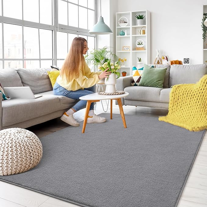 Soft Rugs for Living Room 5x7 Grey, Minimalist Area Rug for Bedroom Nursery Dining Table Dorm, Throw Rugs for Men Boys Girls Kids Room Indoor Floor Carpets