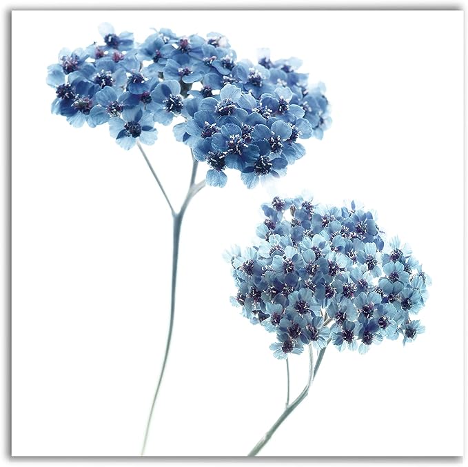 Wexford Home Gorgeous Blue III Gallery Wrapped Canvas Wall Art, 24x24,