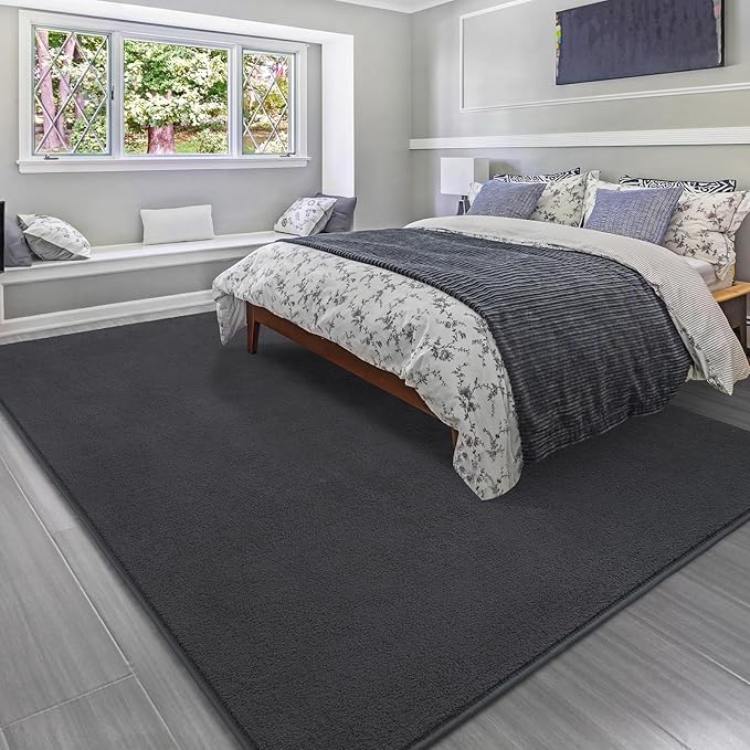 Soft Rugs for Living Room 6x9 Dark Grey, Minimalist Area Rug for Bedroom Nursery Dining Table Dorm, Large Throw Rugs for Men Boys Girls Kids Room Indoor Floor Carpets