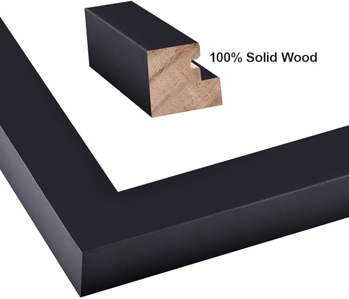 RPJC 9 x 12 Picture Frames Made of Solid Wood and High Definition Glass Display Pictures 6x8 with Mat or 9x12 Without Mat for Wall Mounting Photo Frame Black