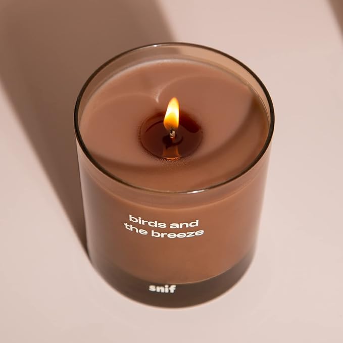Birds and The Breeze Luxury Scented Candle by Snif, Light and Airy Scent, 50+ Hours, 100% Cotton Fiber Wicks, Soy Wax Blend, Non-Toxic, Vegan, 8.5 oz…