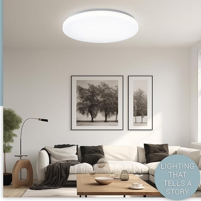 Hamilyeah 48W Flush Mount Ceiling Light, 20 inch LED Ceiling Light Fixture, 5000K Daylight Simple Close to Ceiling Light for Living Room, Dining Room, Bedroom, Hotel, Office