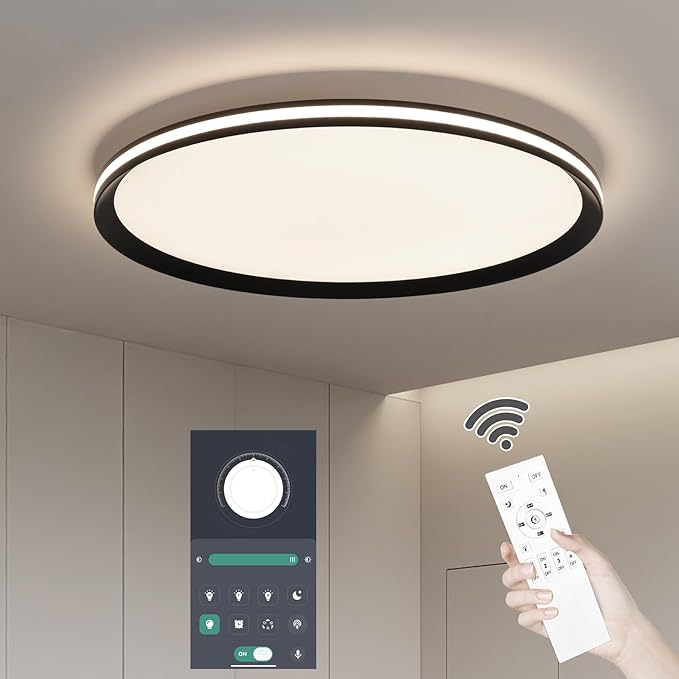 Dimmable Metal LED Ceiling Lights Fixtures,Slim, Edge Lit - 20" Full Spectrum Smart Round Ceiling Lamps,3000-6500K Modern Ultra Thin Low Profile Light Fixture for Bedroom & Living Room (Black,45W)