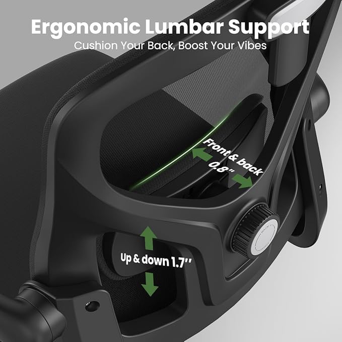 Soohow Ergonomic Office Chair,Home Office Desk Chair with Adjustable Lumbar Support Armrests,Comfy Computer Desk Chair with Headrest,for Home and Office, Black & Black