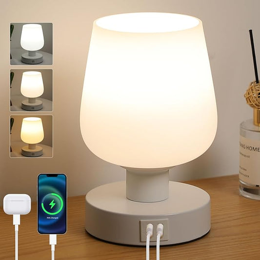 Touch Bedside Table Lamp with 2 USB Ports, Dimmable Small Table Lamp for Bedroom & Living Room with White Opal Glass Lamp Shade & LED Bulb, Modern Nightstand & Desk Lamp