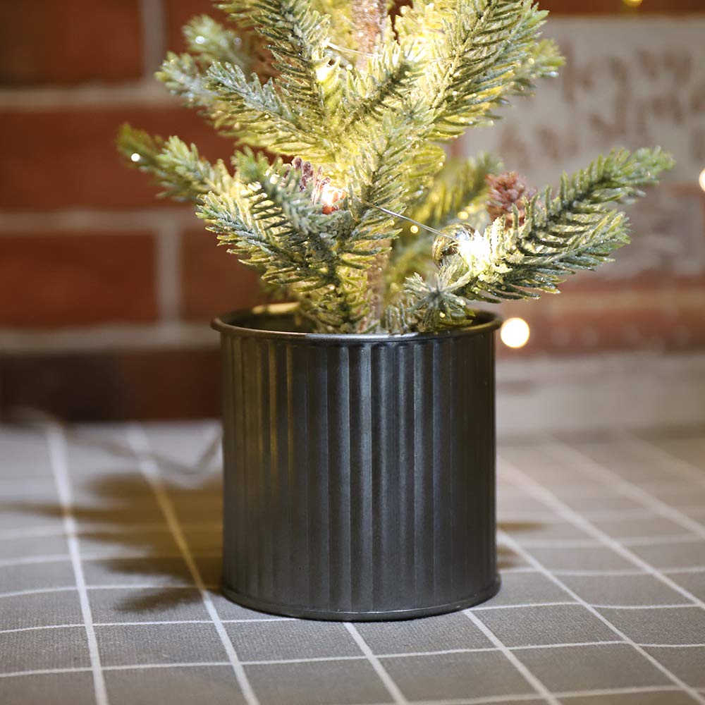 Emadgift Lighted Mini Tree 12 Inch with 15 Warm Whited LED Lights USB Powered for Winter Decor Hone Party and Wedding Holiday
