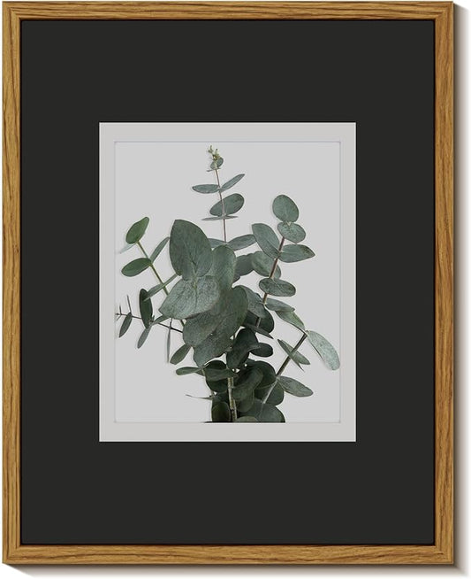 InSimSea Framed Wall Art for Living Room and Bathroom - Botanical Canvas Prints, Modern Plant Pictures, Farmhouse Eucalyptus Decor for Bath and Laundry Room - Rustic Painting Artwork 8x10in