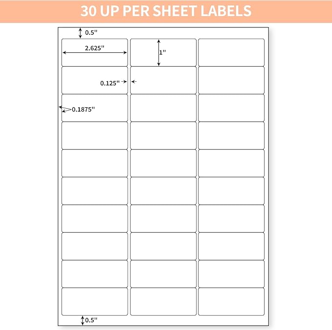 30 UP 3000 Stickers 100 Sheets 1" x 2-5/8" Shipping Return Address Labels for Laser Inkjet Printer, White Blank Mailing Labels