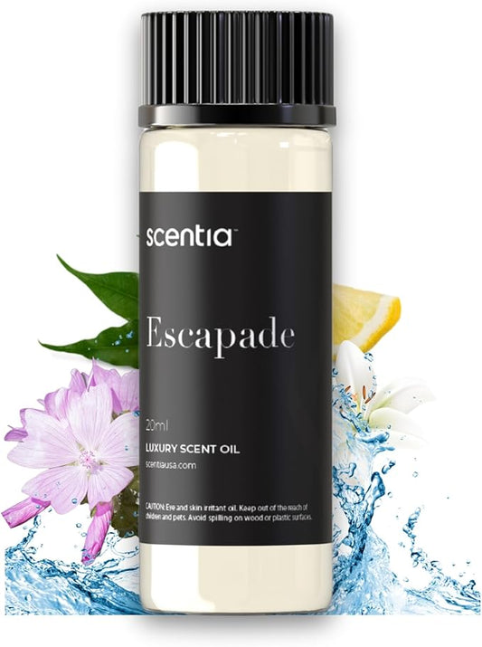 Hotel Diffuser Oil Inspired by The Ritz Carlton Hotel Scent - 20 mL 0.67 fl oz - Aromatherapy Fragrance Oil Inspired by 5 Star Hotel - Escapade