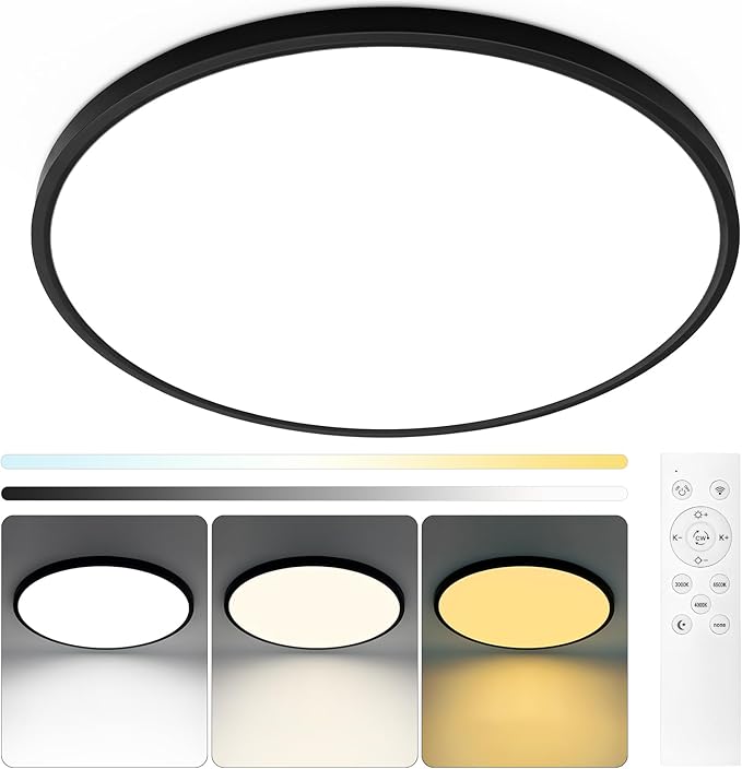 20 Inch Black Led Ceiling Light, Dimmable with Remote Control, Modern, Ultra Thin Flush Mount, Round Light Fixtures, 48W, 4800 Lumen, for Bedroom, Living Room, Kitchen, Dining Room