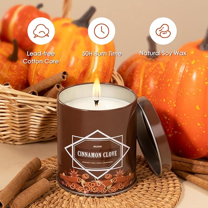 Fall Scented Candle – Cinnamon Clove Soy Candle 9oz, 50 Hour Burn, Non-Toxic Autumn Decor, Holiday Gift for Women & Men