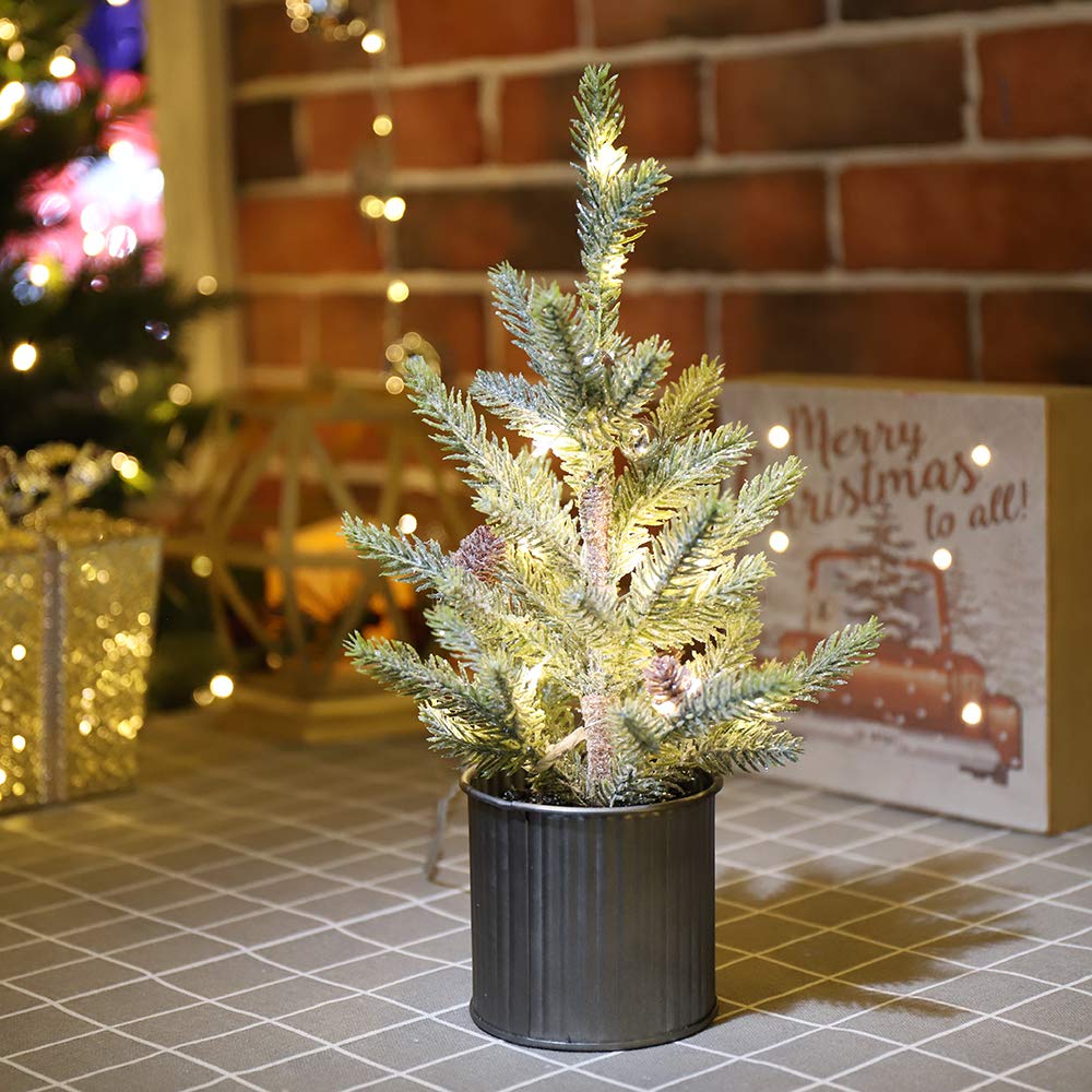 Emadgift Lighted Mini Tree 12 Inch with 15 Warm Whited LED Lights USB Powered for Winter Decor Hone Party and Wedding Holiday