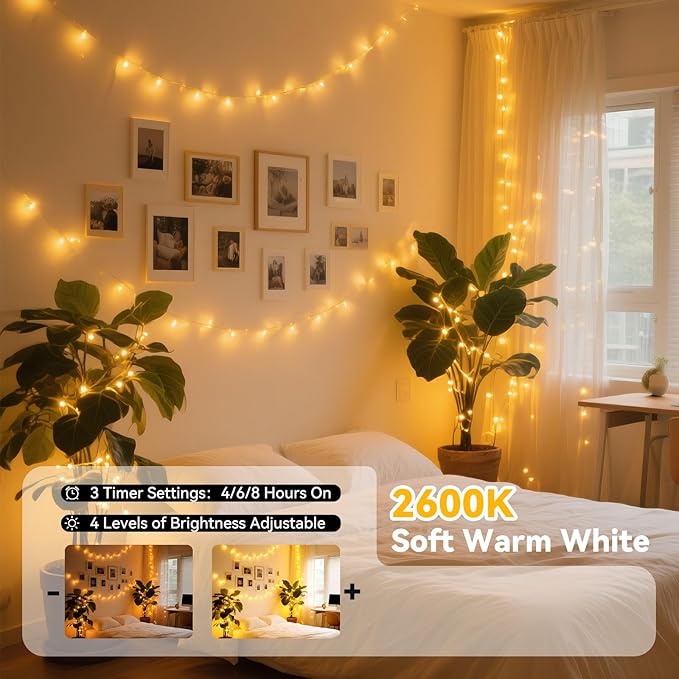LitHome 300LED 99FT Led Fairy Lights Plug in, Color Changing Fairy Lights with Remote, 9 Modes Led String Lights Indoor Dimmable, Fairy String Lights for Girls Bedroom Dorm Classroom Christmas Decor