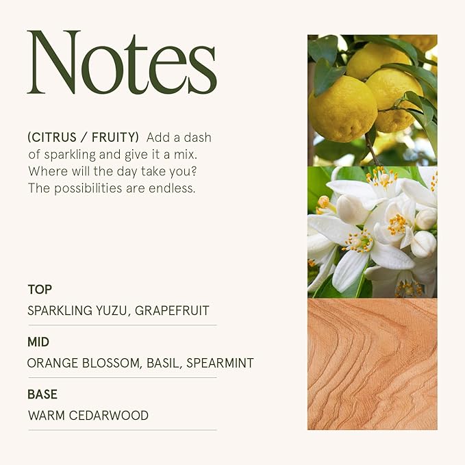 LA JOLIE MUSE Yuzu & Neroli Blossom Scented Candles, Citrus Candles for Home Scented, Natural Soy Wax Candle, Candles Gifts for Women, 6 oz 40 Hours Burn
