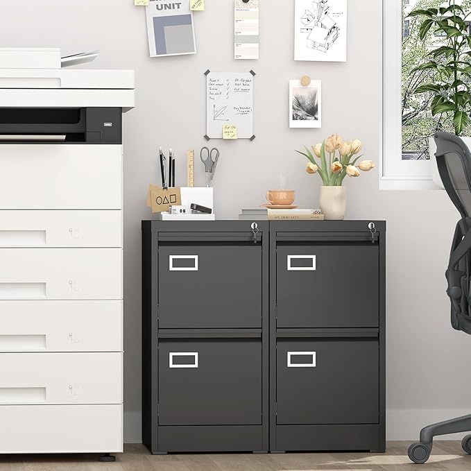 LUCYPAL 2 Drawer File Cabinet with Lock,Metal Filing Cabinets for Home Office,Under Desk Locking Storage Cabinet for Letter/Legal/A4 Files,Assembly Required(Black)