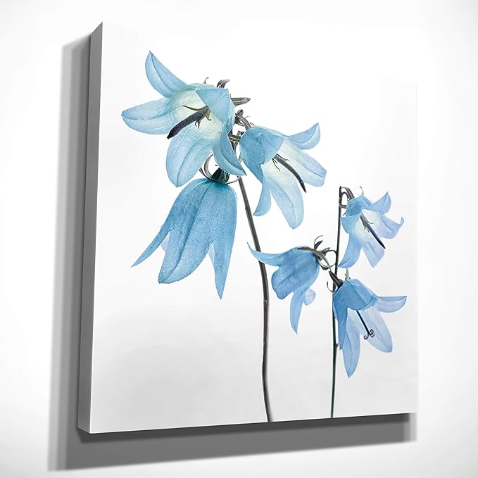 Wexford Home Gorgeous Blue IV Gallery Wrapped Canvas Wall Art, 24x24,