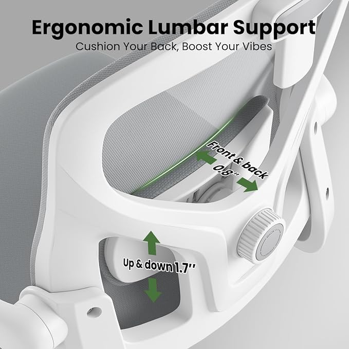 Soohow Ergonomic Office Chair,Home Office Desk Chair with Adjustable Lumbar Support Armrests,Comfy Computer Desk Chair with Headrest,for Home and Office, Gray