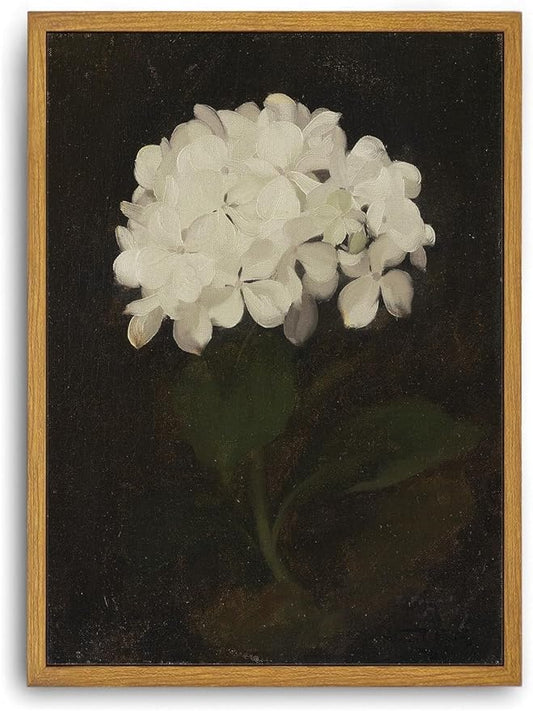 Djmwtb Vintage Framed Wall Art White Hydrangea Canvas Wall Art Minimalist Floral Art Prints Flower Botanical Painting Pictures Wall Decor Artwork for Living Room Bedroom Bathroom 8x10in