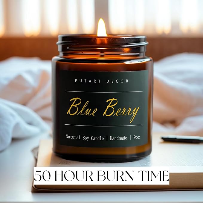 Blueberry Candles for Home Scented, Natural Soy Aromatherapy Non Toxic Candles with Long Lasting Fragrance & Clean Burn, Luxury Jar Candle Gift for Women, Men, Home Decoration 9oz