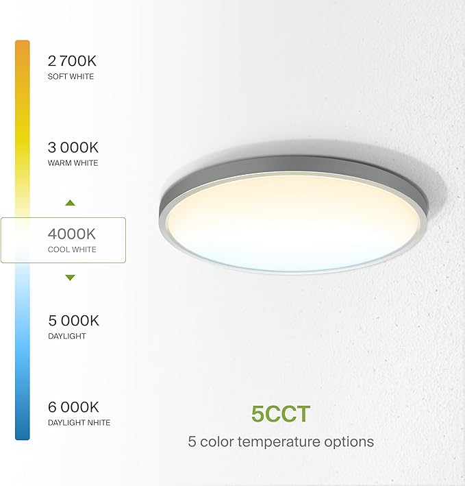 ASD LED 12" Round Flush Mount Ceiling Light Fixture, Low Profile Surface Lighting | 5CCT, Dimmable, Ultra-Thin, ETL Listed | 24W 1900LM 2700-6000K 120V | Kitchen, Hallway Lamp | Nickel, 12 Pack