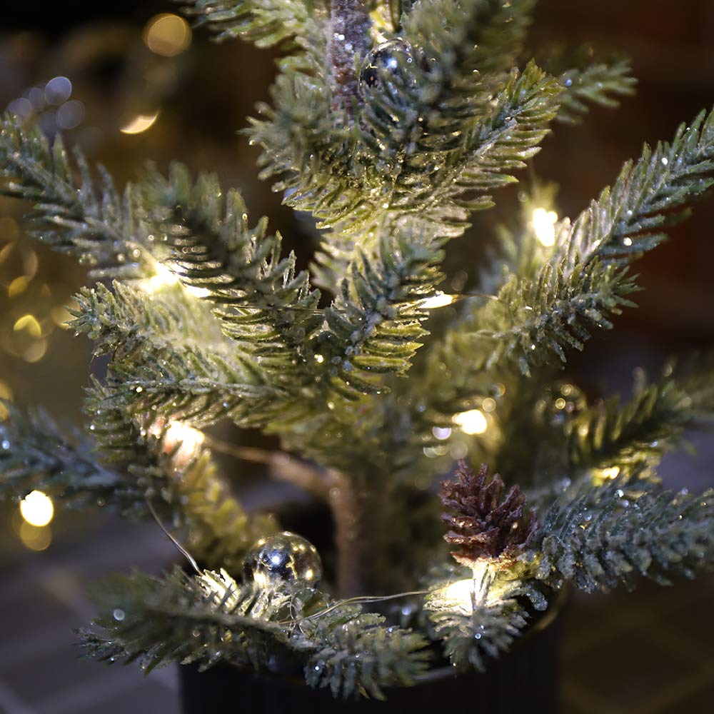 Emadgift Lighted Mini Tree 12 Inch with 15 Warm Whited LED Lights USB Powered for Winter Decor Hone Party and Wedding Holiday