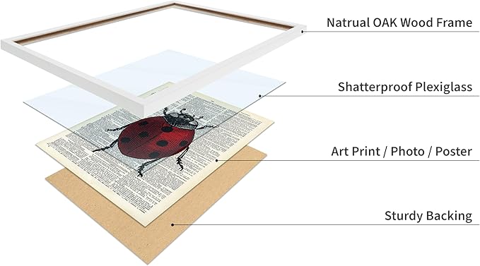 Poster Master Dictionary Art Poster - Retro Ladybug Print - Insect Art - Red Bug Art - Gift for Men, Women & Animal Lover - Minimal Decor for Living Room & Kid's Room, 8x10 White Framed