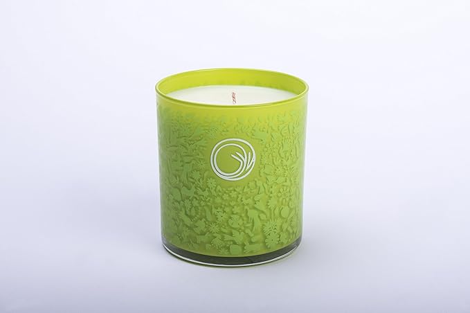 GYV Scented Jar Candle (10 oz) | Coconut Wax with Aromatherapy Grade Natural Oils (Limon)