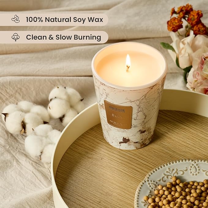 M&SENSE Santal Scented Candles for Home, Lead-Free Wick Highly Scented Jar Candles, 14.1 Oz 80 Hours Lasting Burning Candles Gifts for Women, Relaxing Aromatherapy Candle for Stress Relief