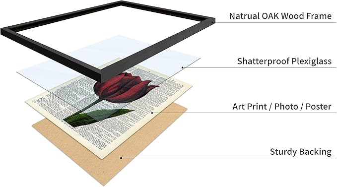 Poster Master Dictionary Art Poster - Tulip Print - Red Flower Art - Floral Art - Gift for Men, Women & Florist - Minimal Decor for Living Room, Bedroom, Dorm or Flower Shop, 16x20 Black Framed