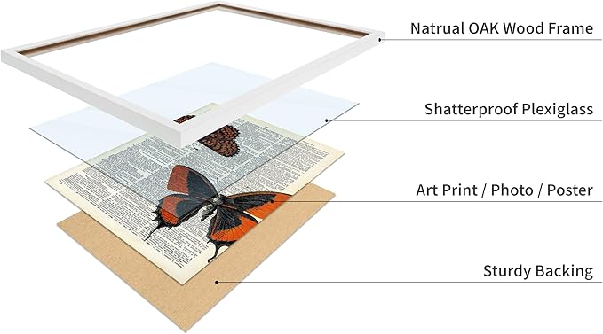 Poster Master Dictionary Art Poster - Butterflies Print - Moth Art - Butterfly Art - Insect Art - Gift for Men, Women & Animal Lover - Chic Decor for Living Room or Bedroom, 11x14 White Framed
