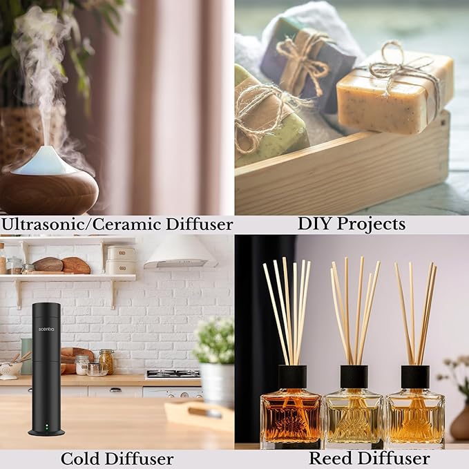 Hotel Diffuser Oil Inspired by The Hotel Costes Paris Scent - 50 mL 1.69 fl oz - Fragrance Oil Blend Rose,Clove &Sandalwood for Aromatherapy Diffuser & Humidifiers -Paris