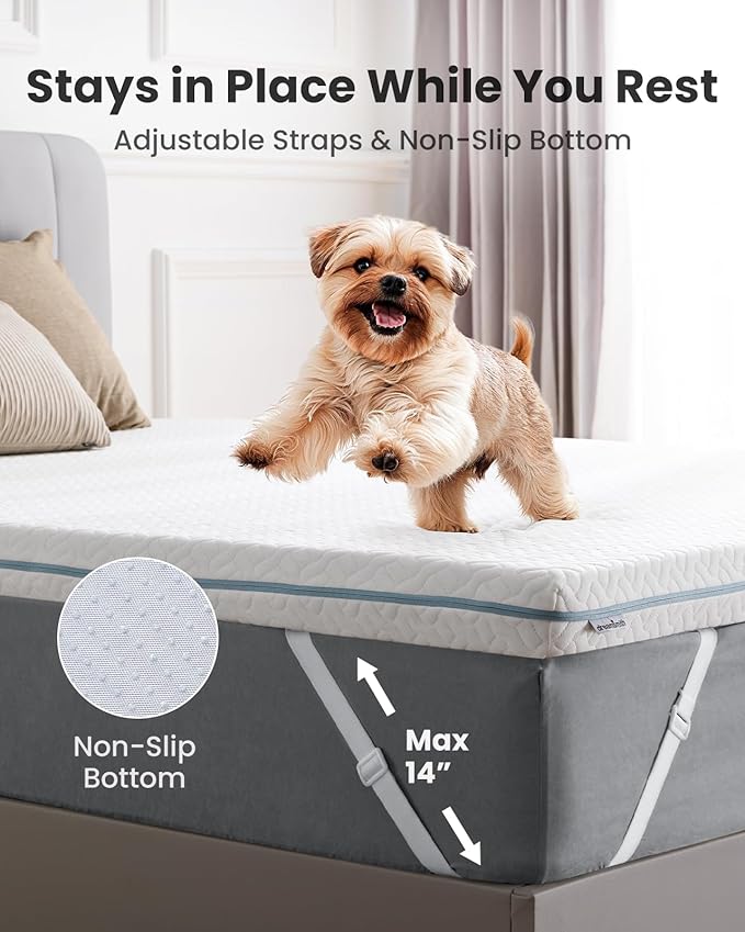 Dreamsmith Queen Size Mattress Topper - 2 Inch Cooling Gel Memory Foam Mattress Pad for Pressure Relief, Bed Topper with Removable Washable Soft Cover Non-Slip, CertiPUR-US & Oeko-Tex Certified