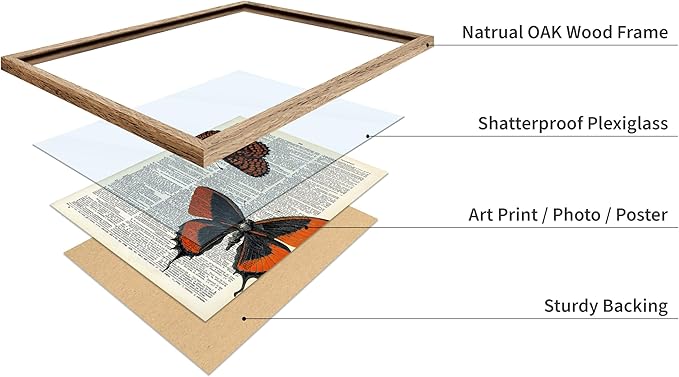 Poster Master Dictionary Art Poster - Butterflies Print - Moth Art - Butterfly Art - Insect Art - Gift for Men, Women & Animal Lover - Chic Decor for Living Room or Bedroom, 16x20 Beige Framed