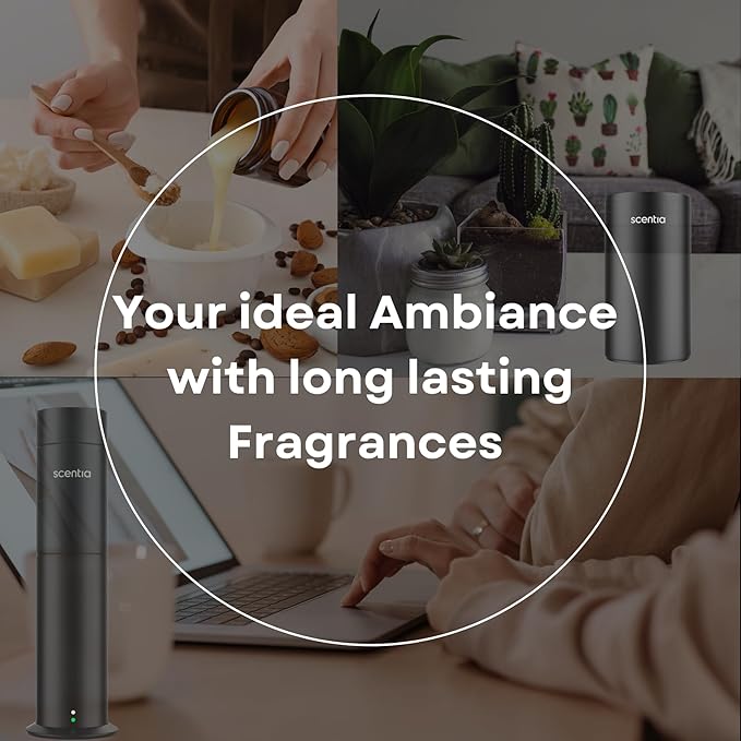 W Magic Hotel Diffuser Refill Oil Inspired by W Signature Hotel - 500 mL 16.9 fl oz - Fragrance Oil Blend Bergamot, Lemongrass & Jasmine for HVAC Diffuser