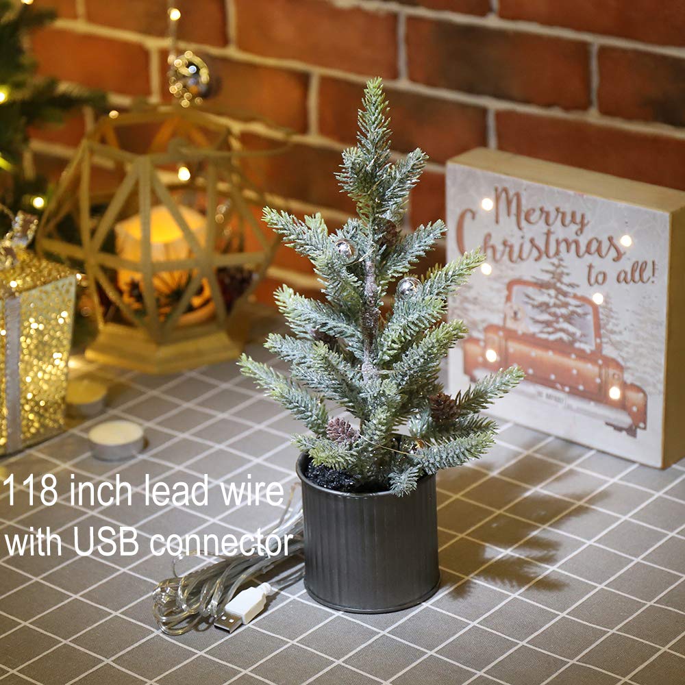 Emadgift Lighted Mini Tree 12 Inch with 15 Warm Whited LED Lights USB Powered for Winter Decor Hone Party and Wedding Holiday