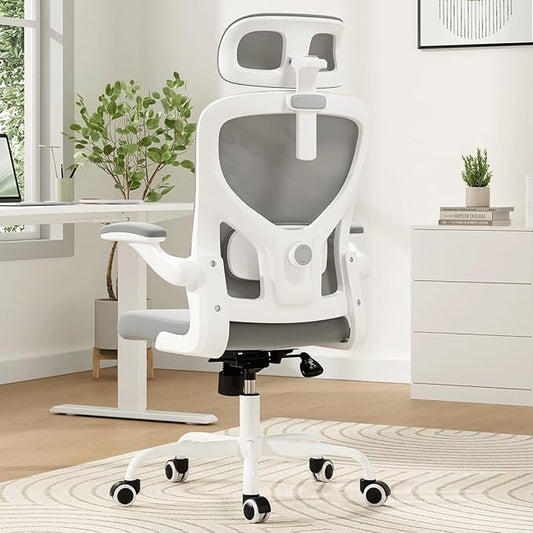 Soohow Ergonomic Office Chair,Home Office Desk Chair with Adjustable Lumbar Support Armrests,Comfy Computer Desk Chair with Headrest,for Home and Office, Gray
