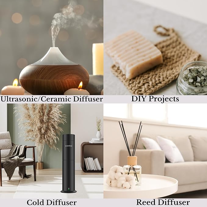Hotel Diffuser Oil Inspired by The Hotel Costes Paris Scent - 50 mL 1.69 fl oz - Fragrance Oil Blend Rose,Clove &Sandalwood for Aromatherapy Diffuser & Humidifiers -Paris