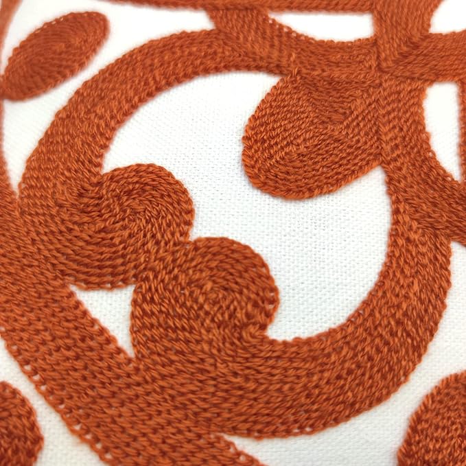 Alysheer Embroidered Decorative Throw Pillow Cover 20"x 20", Boho Mandala Modern Thick Embroidery Pattern, Durable Cotton Canvas Soft Cushion Case for Sofa Couch Bed Living Room (Burnt Orange)