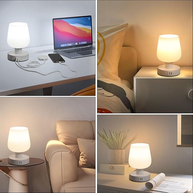 Touch Bedside Table Lamp with 2 USB Ports, Dimmable Small Table Lamp for Bedroom & Living Room with White Opal Glass Lamp Shade & LED Bulb, Modern Nightstand & Desk Lamp