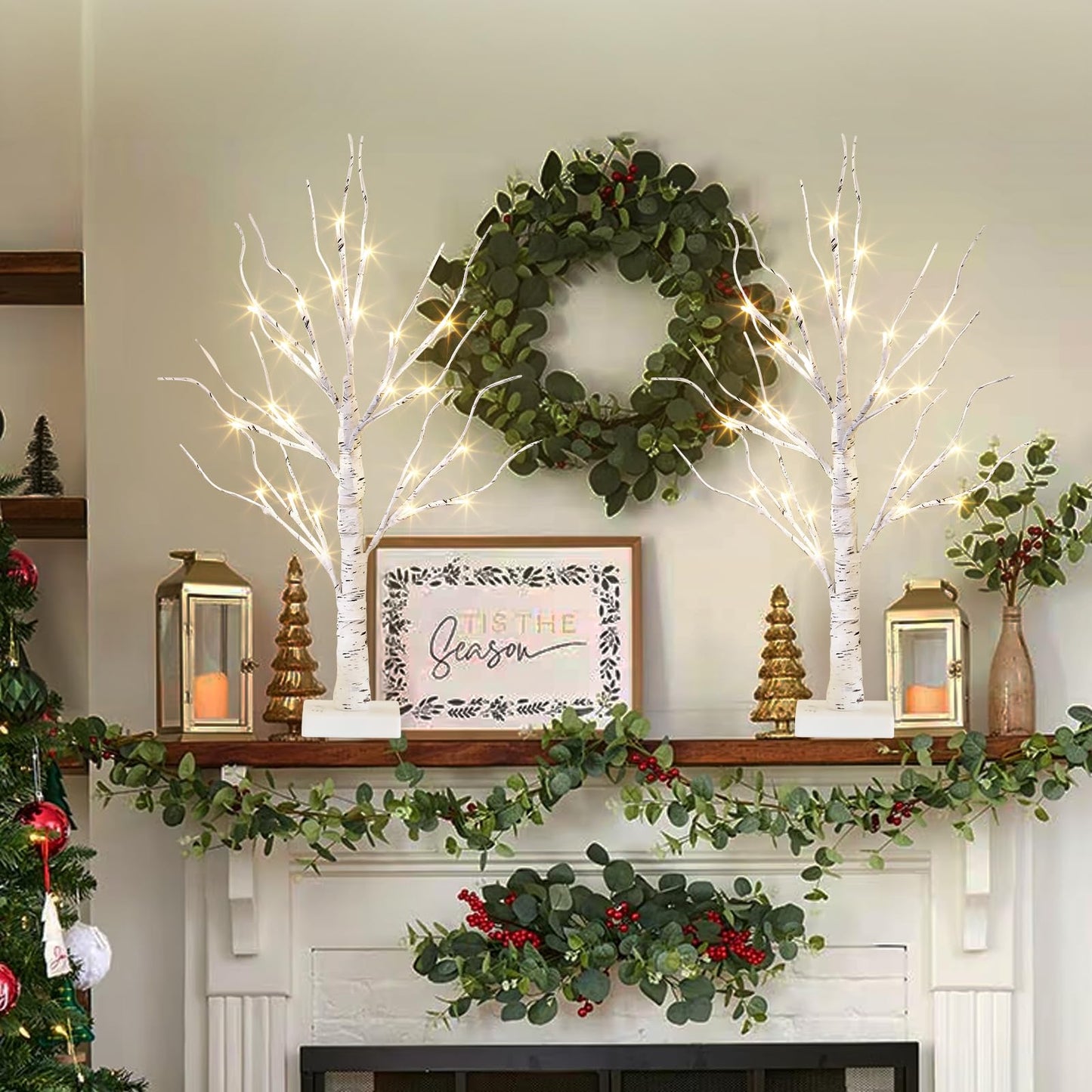 EAMBRITE Lighted Birch Tree Christmas Decorations Indoor for Home, 2Pack 24 LED Battery Operated/USB Tabletop Mini Small Artificial White Trees with Lights for Table Mantel Winter Xmas Decor (2FT)