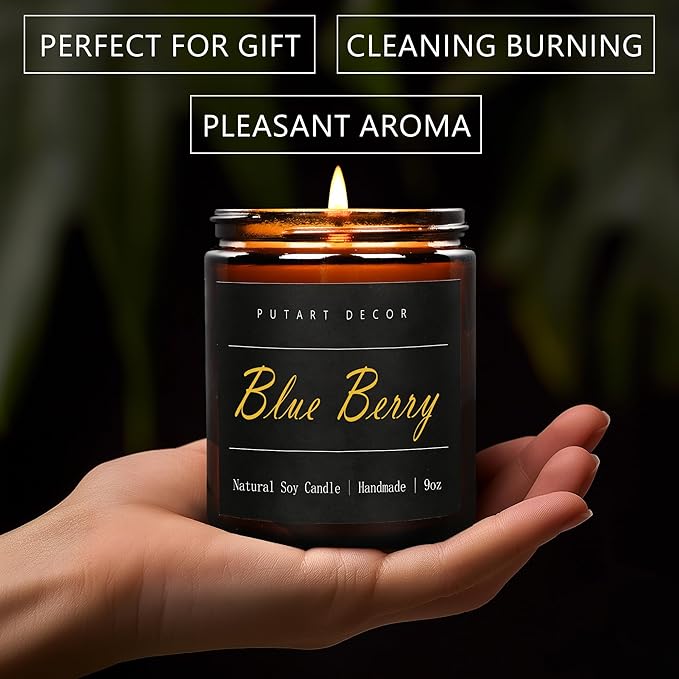 Blueberry Candles for Home Scented, Natural Soy Aromatherapy Non Toxic Candles with Long Lasting Fragrance & Clean Burn, Luxury Jar Candle Gift for Women, Men, Home Decoration 9oz