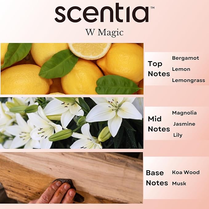 W Magic Hotel Diffuser Oil Inspired by W Signature Hotel - 20 mL 0.67 fl oz - Aromatherapy Oil for Diffusers, Candle Making & DIY Crafts