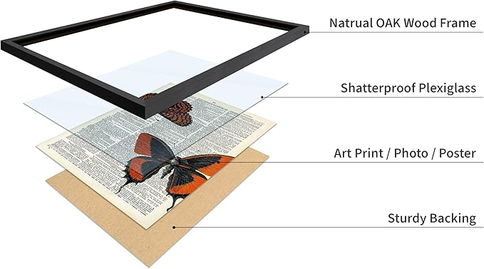 Poster Master Dictionary Art Poster - Butterflies Print - Moth Art - Butterfly Art - Insect Art - Gift for Men, Women & Animal Lover - Chic Decor for Living Room or Bedroom, 8x10 Black Framed