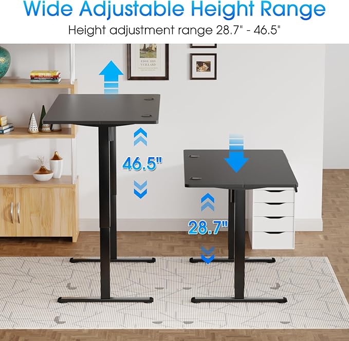 PayLessHere 48 Inch Electric Standing Desk Computer with Large Space and Headphone Holder Office Lifting 2 Memory Function for Bedroom Meeting Room,Black
