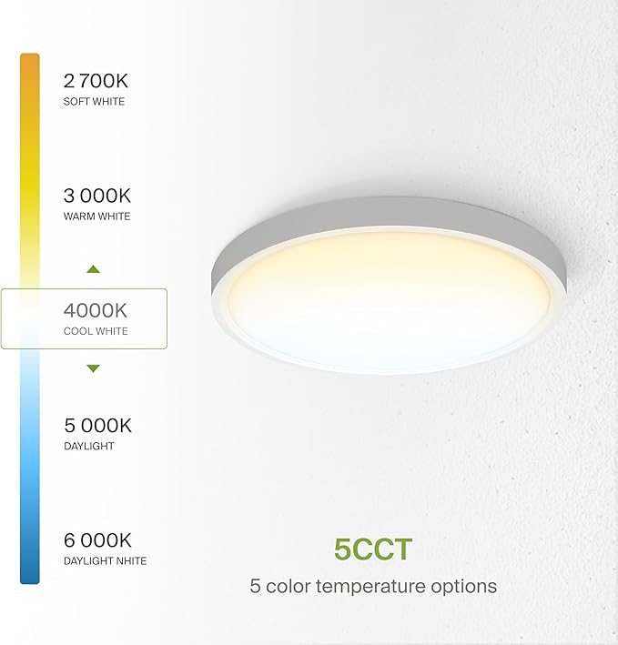 ASD LED 12" Round Flush Mount Ceiling Light Fixture, Low Profile Surface Lighting | 5CCT, Dimmable, Ultra-Thin, ETL Listed | 24W 2000LM 2700-6000K 100-277V | Kitchen, Bedroom, Hallway Lamp | White